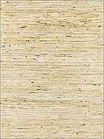 Sonota Arrowroot Oatmeal Wallpaper 5002710 by Schumacher Wallpaper for sale at Wallpapers To Go