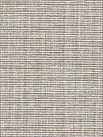 Anodized Raffia Warm Silver Wallpaper 5007781 by Schumacher Wallpaper for sale at Wallpapers To Go