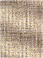 Anodized Raffia Gold Wallpaper 5007782 by Schumacher Wallpaper for sale at Wallpapers To Go