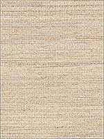 Burnished Raffia Burnished Ivory Wallpaper 5007820 by Schumacher Wallpaper for sale at Wallpapers To Go
