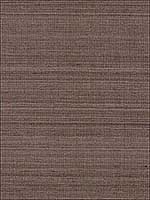 Shaded Silk Umber Wallpaper 5007866 by Schumacher Wallpaper for sale at Wallpapers To Go