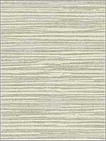Striped Metallics Wallpaper NA51102 by Pelican Prints Wallpaper for sale at Wallpapers To Go