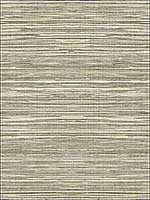 Grasscloth 2 Wallpaper JC21004 by Wallquest Wallpaper for sale at Wallpapers To Go