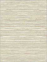 Grasscloth 2 Wallpaper JC21005 by Wallquest Wallpaper for sale at Wallpapers To Go