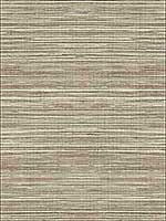 Grasscloth 2 Wallpaper JC21006 by Wallquest Wallpaper for sale at Wallpapers To Go