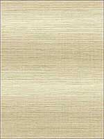 Grasscloth Wallpaper JC21305 by Wallquest Wallpaper for sale at Wallpapers To Go