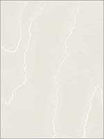 Watered Silk Ivory Wallpaper 1061009 by Cole and Son Wallpaper for sale at Wallpapers To Go