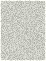 Pebble Pale Grey Wallpaper 1062017 by Cole and Son Wallpaper for sale at Wallpapers To Go