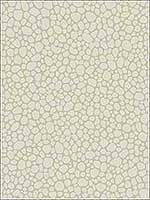 Pebble Stone Wallpaper 1062021 by Cole and Son Wallpaper for sale at Wallpapers To Go