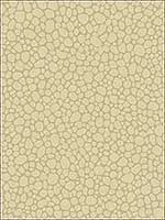 Pebble Latte Wallpaper 1062024 by Cole and Son Wallpaper for sale at Wallpapers To Go