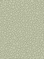 Pebble Sage Wallpaper 1062027 by Cole and Son Wallpaper for sale at Wallpapers To Go