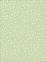 Pebble Duck Egg Wallpaper 1062028 by Cole and Son Wallpaper for sale at Wallpapers To Go