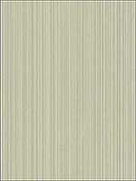 Jaspe Sage Wallpaper 1063030 by Cole and Son Wallpaper for sale at Wallpapers To Go