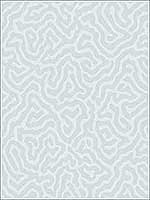 Coral Powder Blue Wallpaper 1065063 by Cole and Son Wallpaper for sale at Wallpapers To Go
