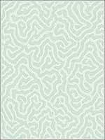 Coral Duck Egg Wallpaper 1065065 by Cole and Son Wallpaper for sale at Wallpapers To Go