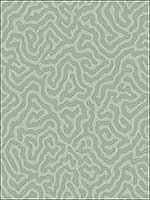 Coral Sage Wallpaper 1065066 by Cole and Son Wallpaper for sale at Wallpapers To Go