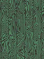 Zebrawood Emerald Wallpaper 1071001 by Cole and Son Wallpaper for sale at Wallpapers To Go