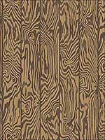 Zebrawood Tiger Wallpaper 1071002 by Cole and Son Wallpaper for sale at Wallpapers To Go