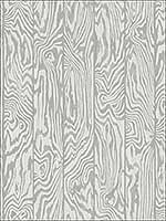 Zebrawood Grey Wallpaper 1071004 by Cole and Son Wallpaper for sale at Wallpapers To Go