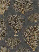Seafern Black and Gold Wallpaper 1072006 by Cole and Son Wallpaper for sale at Wallpapers To Go
