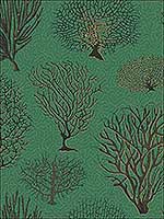 Seafern Emerald Wallpaper 1072007 by Cole and Son Wallpaper for sale at Wallpapers To Go