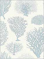 Seafern Blue Wallpaper 1072009 by Cole and Son Wallpaper for sale at Wallpapers To Go