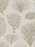 Seafern Stone Wallpaper 1072010 by Cole and Son Wallpaper for sale at Wallpapers To Go