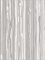 Strand Grey Wallpaper 1077034 by Cole and Son Wallpaper for sale at Wallpapers To Go