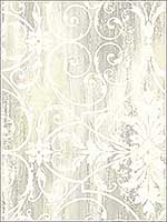 Glitter Scroll Wallpaper NV60010 by Pelican Prints Wallpaper for sale at Wallpapers To Go