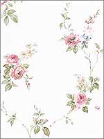 Roses Wallpaper CN24621 by Norwall Wallpaper for sale at Wallpapers To Go