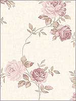 Roses Wallpaper CN26565 by Norwall Wallpaper for sale at Wallpapers To Go