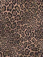 Leopard Print Wallpaper G67461 by Norwall Wallpaper for sale at Wallpapers To Go