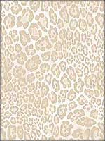 Leopard Print Wallpaper G67464 by Norwall Wallpaper for sale at Wallpapers To Go