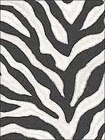 Zebra Print Wallpaper G67491 by Norwall Wallpaper for sale at Wallpapers To Go