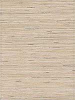 Lustrous Grasscloth Wallpaper Y6201601 by York Designer Series Wallpaper for sale at Wallpapers To Go