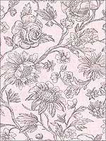 Kepler Light Pink Sketched Floral Wallpaper 356091 by Kennenth James Wallpaper for sale at Wallpapers To Go