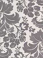 Perigee Grey Damask Wallpaper 356101 by Kennenth James Wallpaper for sale at Wallpapers To Go