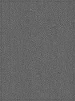 Matter Black Texture Wallpaper 356189 by Kennenth James Wallpaper for sale at Wallpapers To Go
