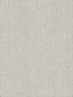 Matter Light Grey Texture Wallpaper 356191 by Kennenth James Wallpaper for sale at Wallpapers To Go
