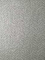 Bengal Metallic Silver Wallpaper T57169 by Thibaut Wallpaper for sale at Wallpapers To Go