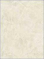 Stucco Wallpaper CE21105 by Pelican Prints Wallpaper for sale at Wallpapers To Go