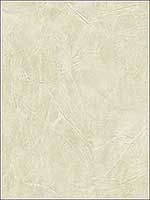 Stucco Wallpaper CE21107 by Pelican Prints Wallpaper for sale at Wallpapers To Go