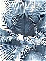 Endless Summer Blue Palm Wallpaper PS40102 by Kenneth James Wallpaper for sale at Wallpapers To Go