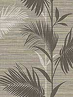 Away On Holiday Brown Palm Wallpaper PS40306 by Kenneth James Wallpaper for sale at Wallpapers To Go