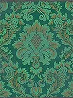 Stravinsky Green Wallpaper 1084016 by Cole and Son Wallpaper for sale at Wallpapers To Go