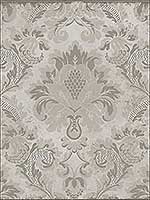 Stravinsky Gilver Wallpaper 1084019 by Cole and Son Wallpaper for sale at Wallpapers To Go
