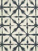 Andromeda Charcoal Fabric 175382 by Schumacher Fabrics for sale at Wallpapers To Go