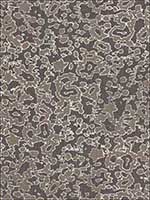 Rain Dance Charcoal Fabric 175392 by Schumacher Fabrics for sale at Wallpapers To Go
