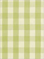 Camden Cotton Check Sage Fabric 63036 by Schumacher Fabrics for sale at Wallpapers To Go