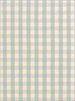 Elton Cotton Check Aqua Fabric 63057 by Schumacher Fabrics for sale at Wallpapers To Go
